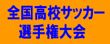 全国高校サッカー選手権大会