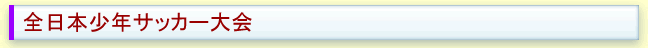 全国少年サッカー大会