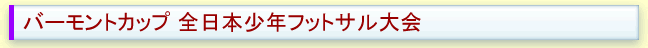 バーモントカップ 全日本少年フットサル大会